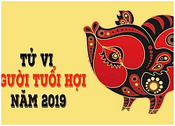 Tử vi năm 2019 tuổi Hợi: Thị phi rình rập, tài vận thăng hoa vừa tầm