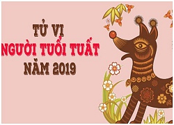 Tử vi năm 2019 tuổi Tuất: Tràn đầy cơ hội, tăng trưởng chậm mà chắc