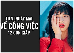 Tử vi ngày mai (7/10) về công việc của 12 con giáp: Tuổi Tý cần nghỉ ngơi