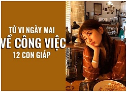 Tử vi ngày mai (9/10) về công việc của 12 con giáp: Tuổi Dần nổi cáu