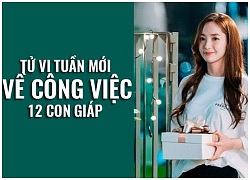 Tử vi tuần mới (8/10 - 14/10) về công việc của 12 con giáp