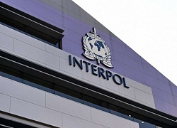 Vai trò và quyền hạn thực sự của Interpol là gì?