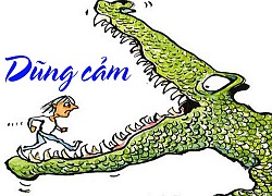 Việc làm dũng cảm...