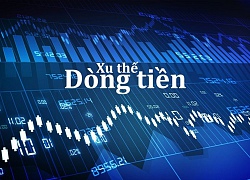 Xu thế dòng tiền: Điều chỉnh bao lâu?