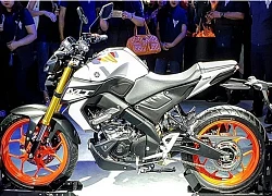 Yamaha TFX 150 2019 chính thức ra mắt, sẽ sớm về Việt Nam?