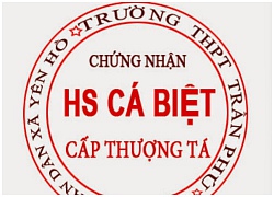 Avatar hài hước về các con dấu