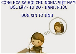 Bộ ảnh siêu hài hước đơn xin yêu