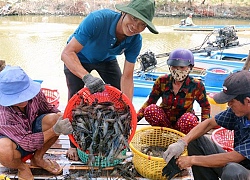 Các địa phương chủ động ứng phó thời tiết xấu