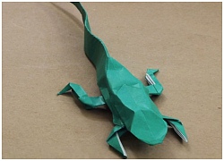 Cách gấp con thạch sùng Origami bằng giấy