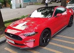 Chạm mặt "ngựa hoang" Ford Mustang 2018 đầu tiên của Việt Nam "đi dạo phố"