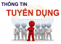 Công việc lý tưởng