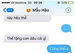 Dân mạng "phát sốt" với màn "troll" con trai của bà mẹ Việt trẻ trung, bá đạo