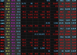 Đua nhau bán tháo, VN-Index "rơi" gần 50 điểm