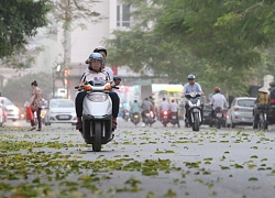 Gió mùa tràn về, Hà Nội mát mẻ