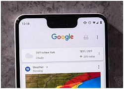 Google không có lý do gì để làm cái "tai thỏ" xấu đến như thế trên Pixel 3 XL