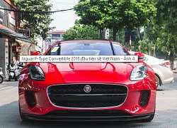 Jaguar F-Type Convertible 2018 đầu tiên về Việt Nam