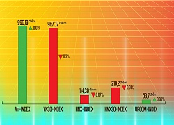 Nhà đầu tư bán tháo, nhiều cổ phiếu giảm sâu