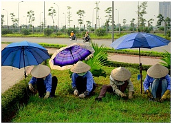 Nóng cũng chỉ đến thế này mà thôi!