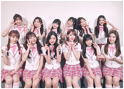 Phải chăng IZ*ONE đang tự đặt mình vào thế khó khi debut vào một thời điểm lành ít dữ nhiều?