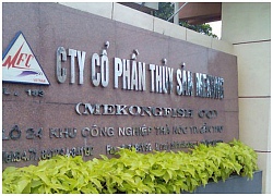 Thủy sản Mekong mua 2,4 triệu cổ phiếu quỹ để bình ổn giá