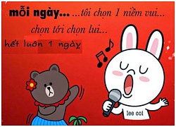 Tổng hợp hình ảnh chế hài hước Gấu Brown và Thỏ cony