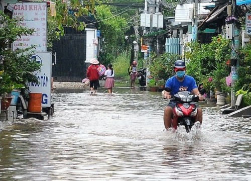 Triều cường ở Nam Bộ: Nước dâng như thác đổ, dân khổ sở chống chọi