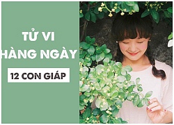 Tử vi hàng ngày (10/10/2018): 6 điều nên và 6 điều không nên của 12 con giáp