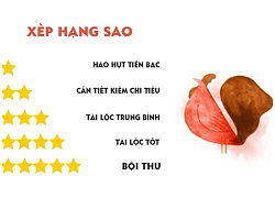 Tử vi hôm nay (10/10) về tài chính của 12 con giáp: Tuổi Dậu bội thu, tuổi Tuất 'tiền đội nón ra đi'