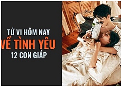 Tử vi hôm nay (10/10) về tình yêu của 12 con giáp: Tuổi Dậu chán chường