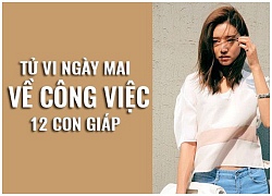 Tử vi ngày mai (10/10) về công việc của 12 con giáp: Tuổi Mão thiếu ý tưởng