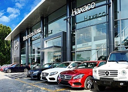 Đại lý Mercedes, chủ nhà sách Phương Nam bị phạt hàng chục triệu đồng