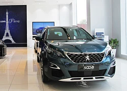 Khai trương showroom peugeot thanh xuân