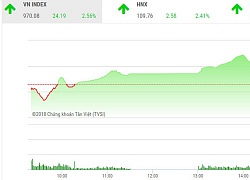 Lực bắt đáy mạnh, VN-Index đảo chiều tăng hơn 24 điểm