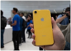 Ming-Chi Kuo: iPhone XR sẽ có doanh số cao tại Trung Quốc