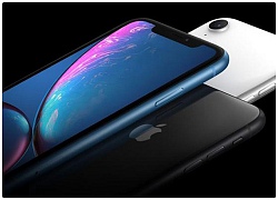 Nhu cầu lên đời iPhone XR sẽ lớn hơn với dòng sản phẩm iPhone 8