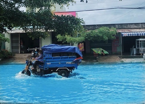 Những ảnh hài hước trong ngày