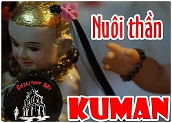 Sự thật nuôi Kuman Thong ở Việt Nam