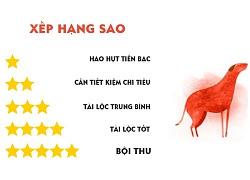 Tử vi hôm nay (12/10) về tài chính của 12 con giáp: Tuổi Tuất đầu tư dễ thua thiệt