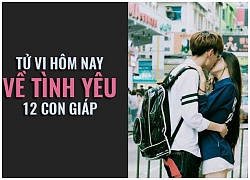 Tử vi hôm nay (13/10) về tình yêu của 12 con giáp: Tuổi Hợi nên nhún nhường