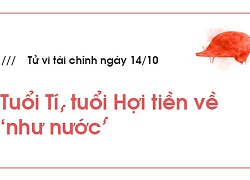 Tử vi hôm nay (14/10) về tài chính 12 con giáp: Tuổi Tí, tuổi Hợi 'tiền vào như nước'