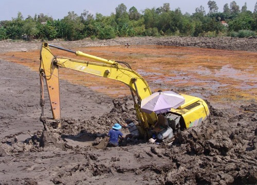 Giá cá tra tăng chót vót, coi chừng vỡ trận