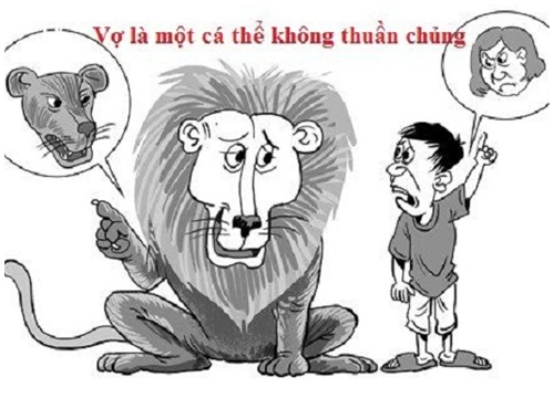 Nai và sư tử