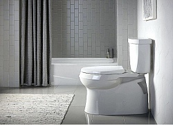 Những từ vựng chỉ toilet trong tiếng Anh