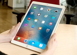 Phạt nhân viên hàng không 7,5 triệu đồng vì &quot;cầm nhầm&quot; iPad