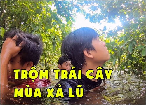 Trộm trái cây mùa xả lũ ở An Giang