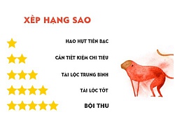 Tử vi hôm nay (16/10) về tài chính của 12 con giáp: Tuổi Dậu có quý nhân, tuổi Thân hao hụt lớn