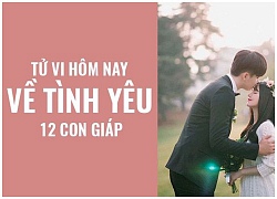 Tử vi hôm nay (16/10) về tình yêu của 12 con giáp: Tuổi Sửu cô đơn