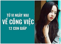 Tử vi ngày mai (17/10) về công việc của 12 con giáp: Tuổi Dậu vất vả