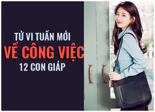 Tử vi tuần mới (15/10 21/10) về công việc của 12 con giáp