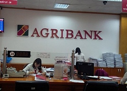 Agribank khu vực TP.HCM với hành trình 30 năm phát triển